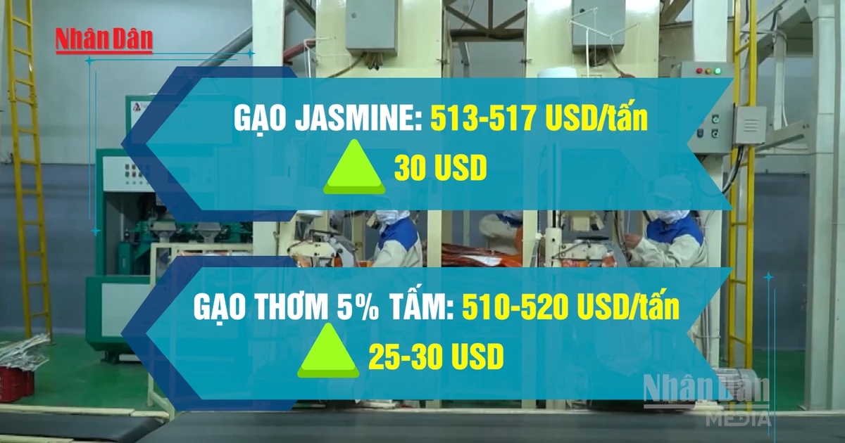 Vietnam's Rice Export Prices Rebound Amid Global Supply Concerns
