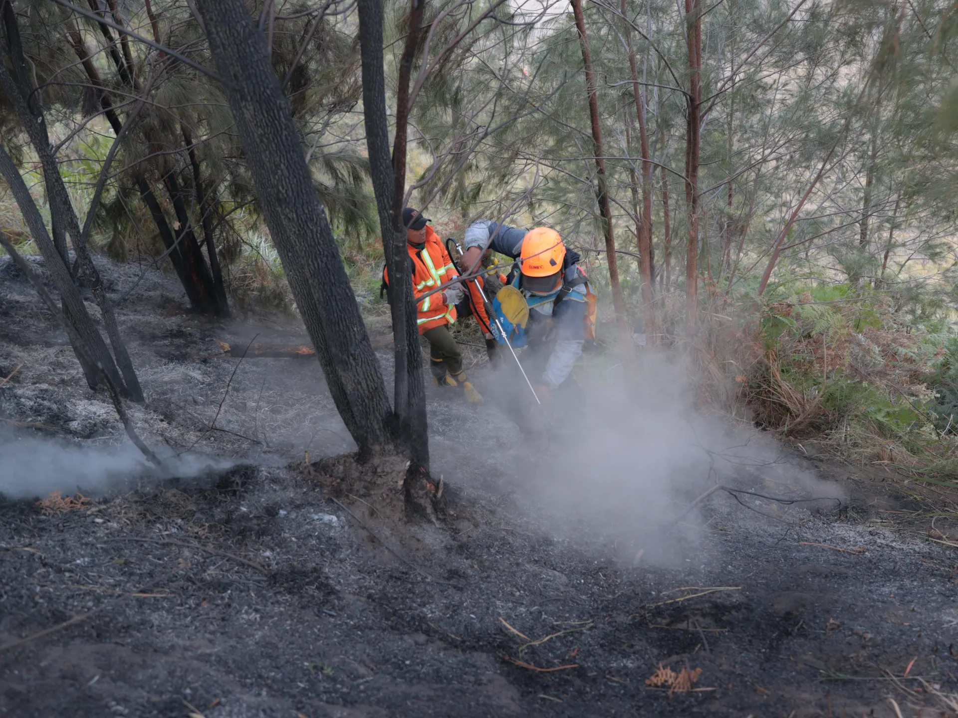 Indonesia Deploys Additional Troops to Combat Borneo Wildfires