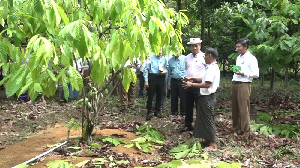 Mon State Chief Minister inspects regional development works in Thahton Township