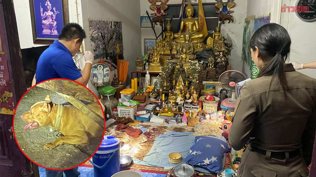 Abbot Shot in Kamphaeng Phet: Security Cameras Down and Guard Dog Remains Silent