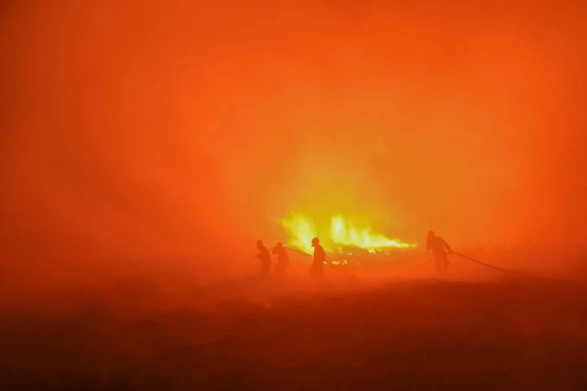 Forest Fires on Concession Land Not Proof of Intentional Burning by Companies, Expert Analysis
