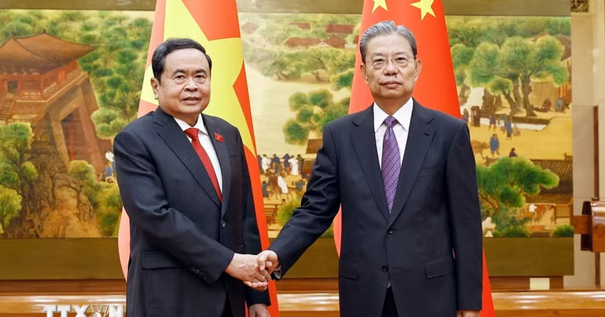 Vietnamese NA Chairman, China's NPC Standing Committee Chairman Hold Talks in Beijing