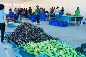 User Affordability to Guide Agri PPP Projects - PPP Center