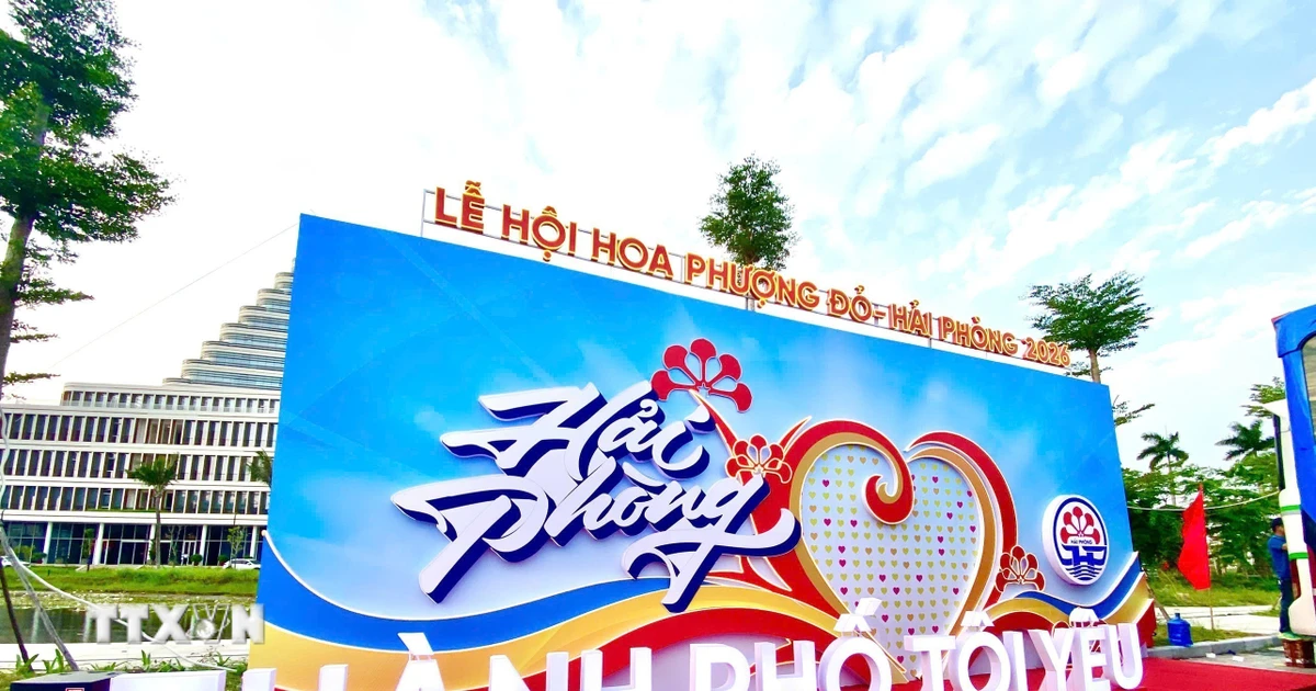 Opening of the 2026 Red Flamboyant Festival: Hai Phong - Convergence and Radiance