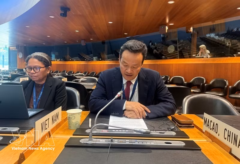 Vietnam Attends India's 8th WTO Trade Policy Review