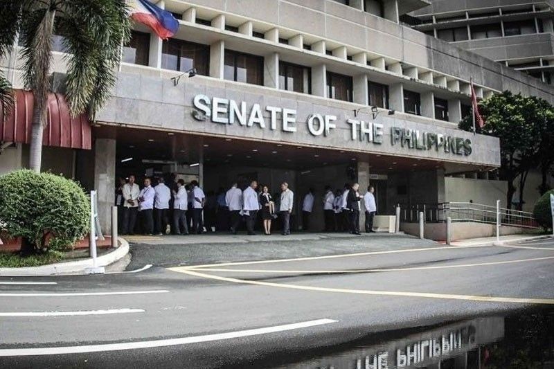 Senate Urged to Scrutinize House Infrastructure Insertions in National Budget