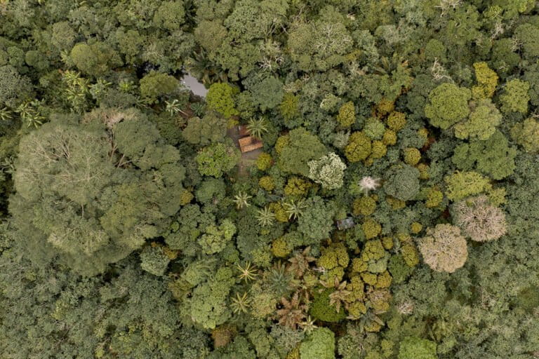 Why Jongot Forests in South Sumatra Were Spared from Forest Fires