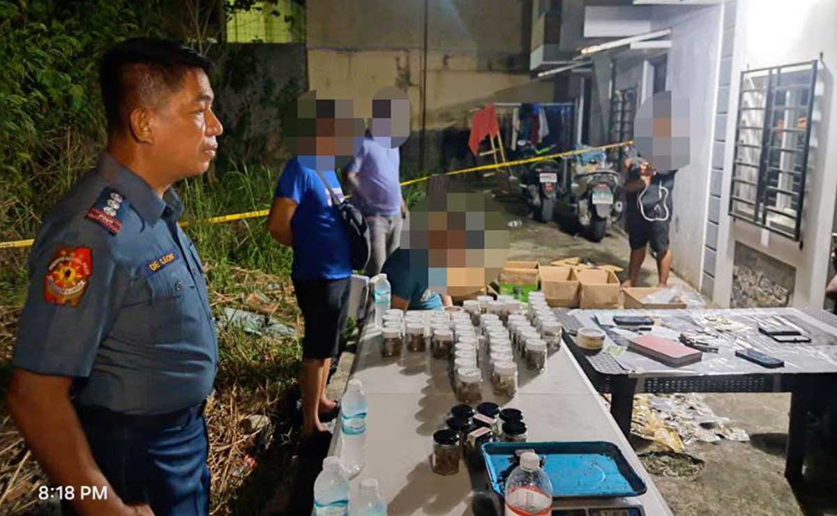 18-year-old arrested with P4.9M worth of suspected marijuana in Pangasinan