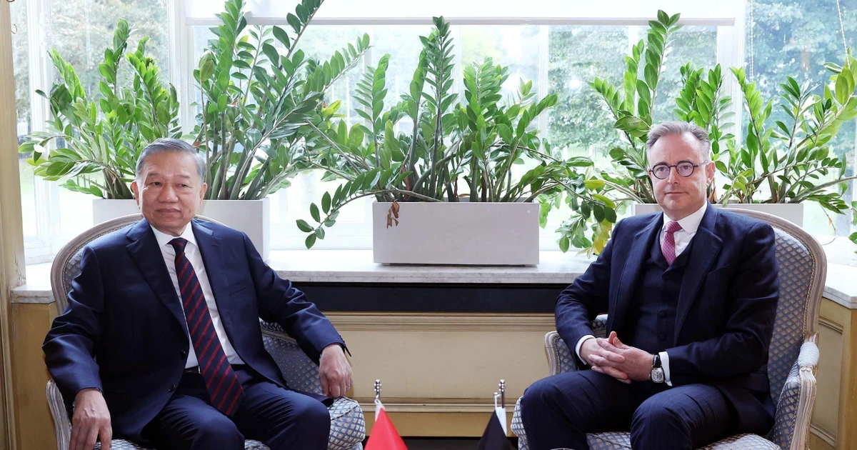 Vietnam, Belgium Vow Stronger Ties Under Comprehensive Strategic Partnership