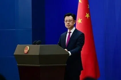 China Warns of 'Grey Rhino' Threat from Japan's Remilitarization
