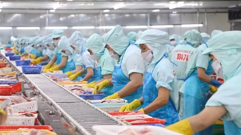 Vietnam Eyes Middle East and South Asia Markets via New-Generation FTAs
