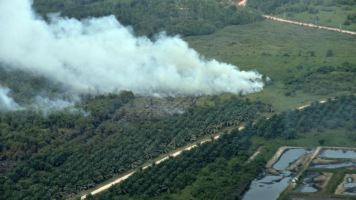 Indonesia's Forest Fire Hotspots Decrease, But Increase in Some Areas Prompts Stronger Measures