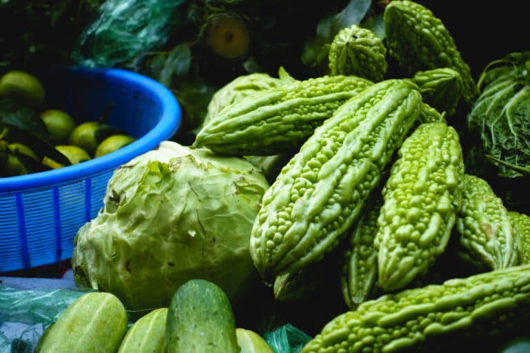 Bitter Melon 'Pare': A Fruit with a Long History as Traditional Medicine in Indonesia