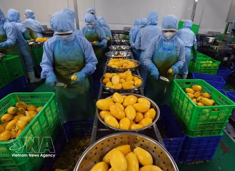 Vietnam, Mongolia Seek to Expand Cooperation Beyond Traditional Areas
