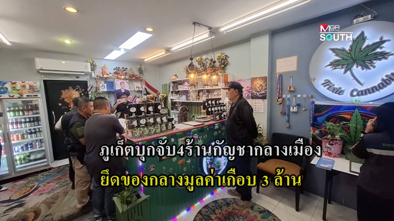 Phuket Cracks Down on Illegal Cannabis Shops, Seizes Nearly 3 Million Baht in Raid