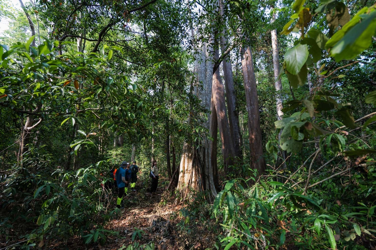 Vietnam's Cat Tien Ranger Tour Reaches International Tourism Awards Final