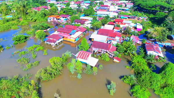Mekong River Crisis in Nakhon Phanom: Over 20,000 Rai of Rice Fields Submerged