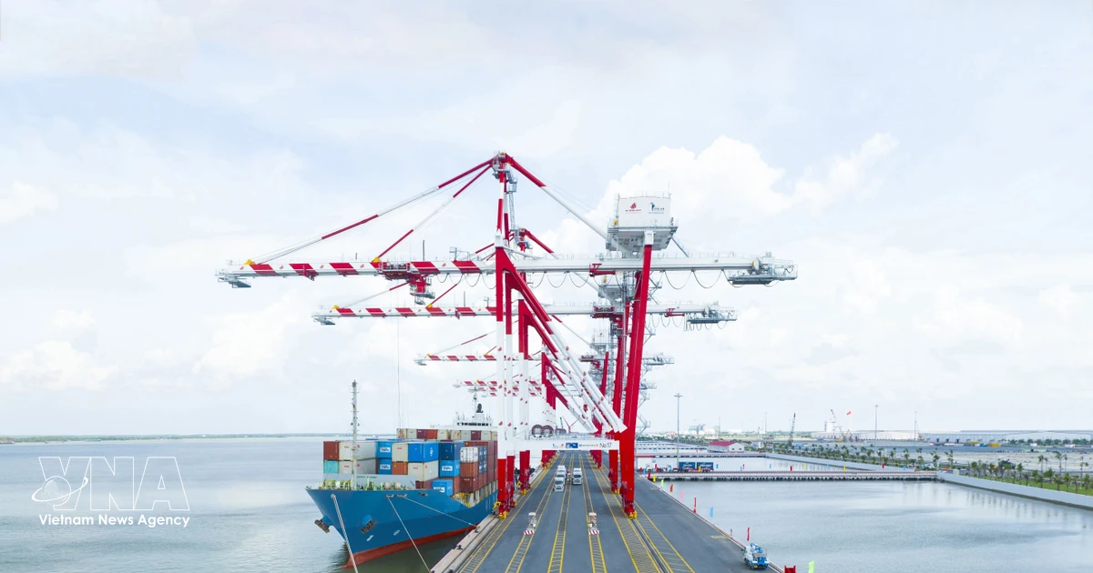 Logistics Reform Crucial for Vietnam's Global Competitiveness: Insiders