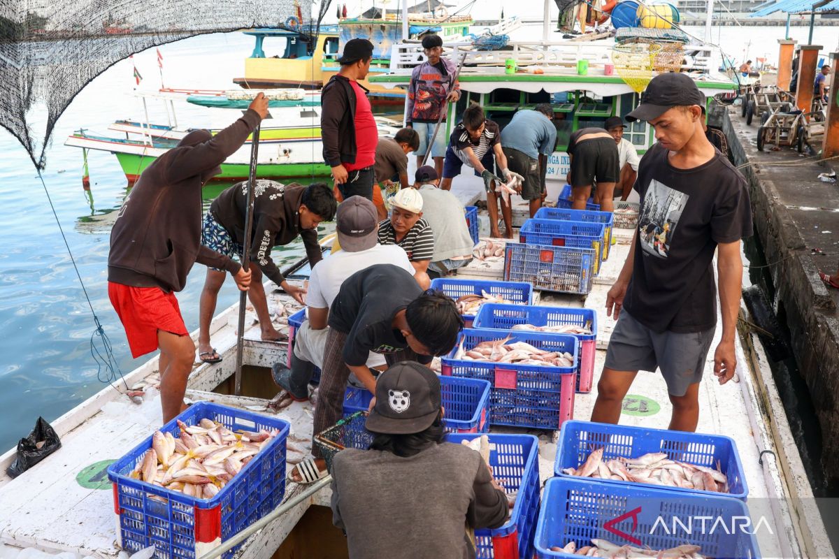 Indonesia Enforces ILO Fishing Labor Standards, Aims to Improve Working Conditions
