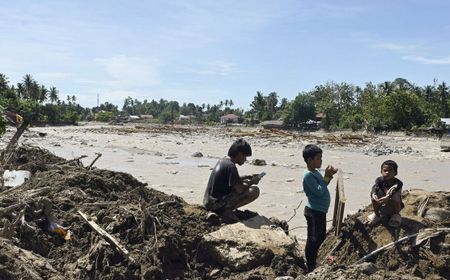 スマトラ洪水、タパヌリ・オランウータン58頭死亡 希少種 populaion 7%減少