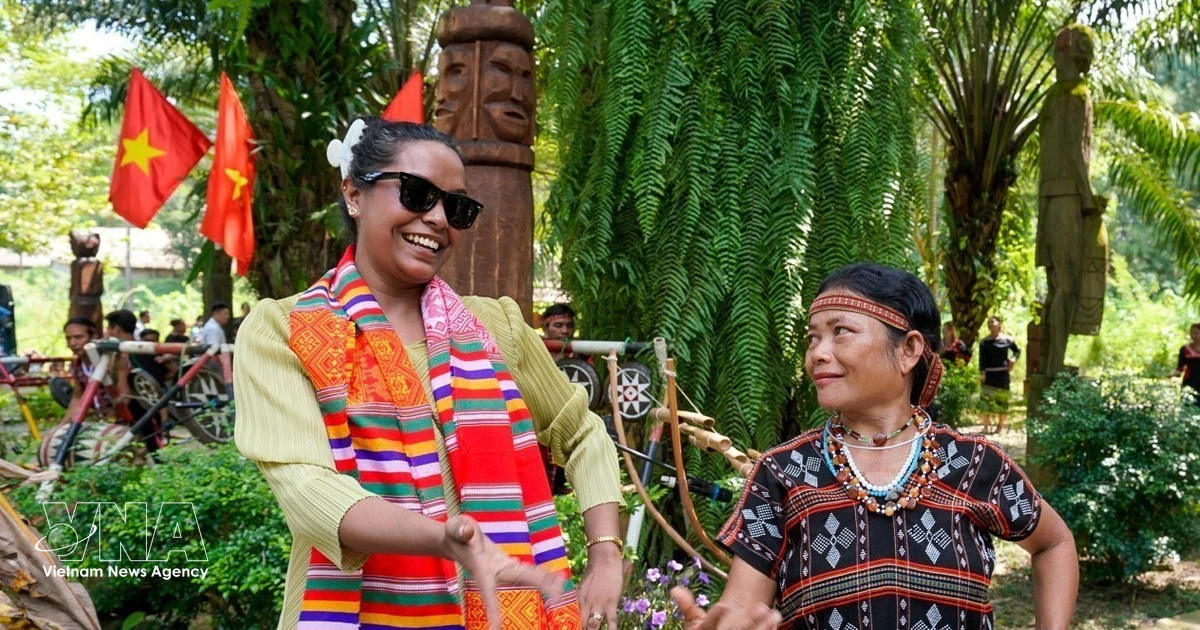 Vietnam's Cultural Diversity Captivates International Friends