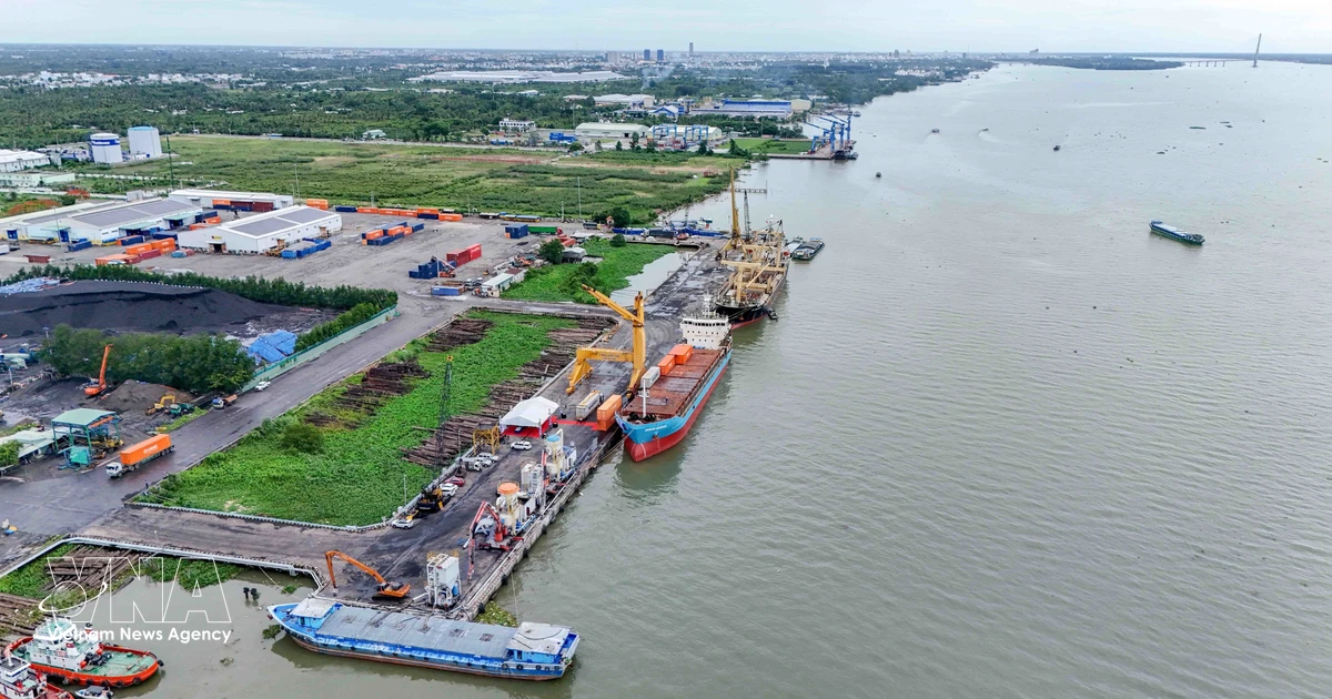 Vietnam Boosts Agricultural Exports Through Logistics and Digitalization