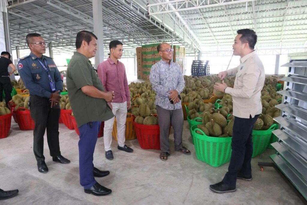 Cambodian Durian Gains Traction in China as Buyer Shifts from Thailand