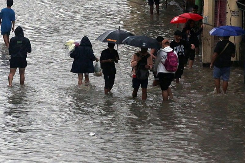Leptospirosis Cases Surge in Philippines Amid Heavy Rains