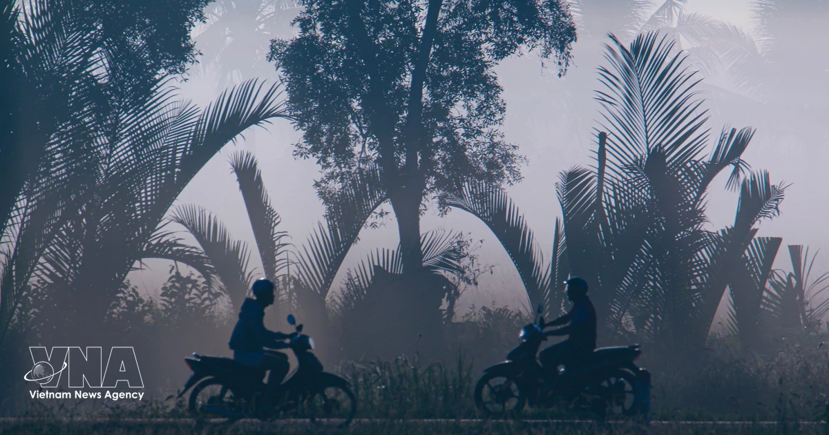 Early morning mist blankets Can Tho’s riverine countryside