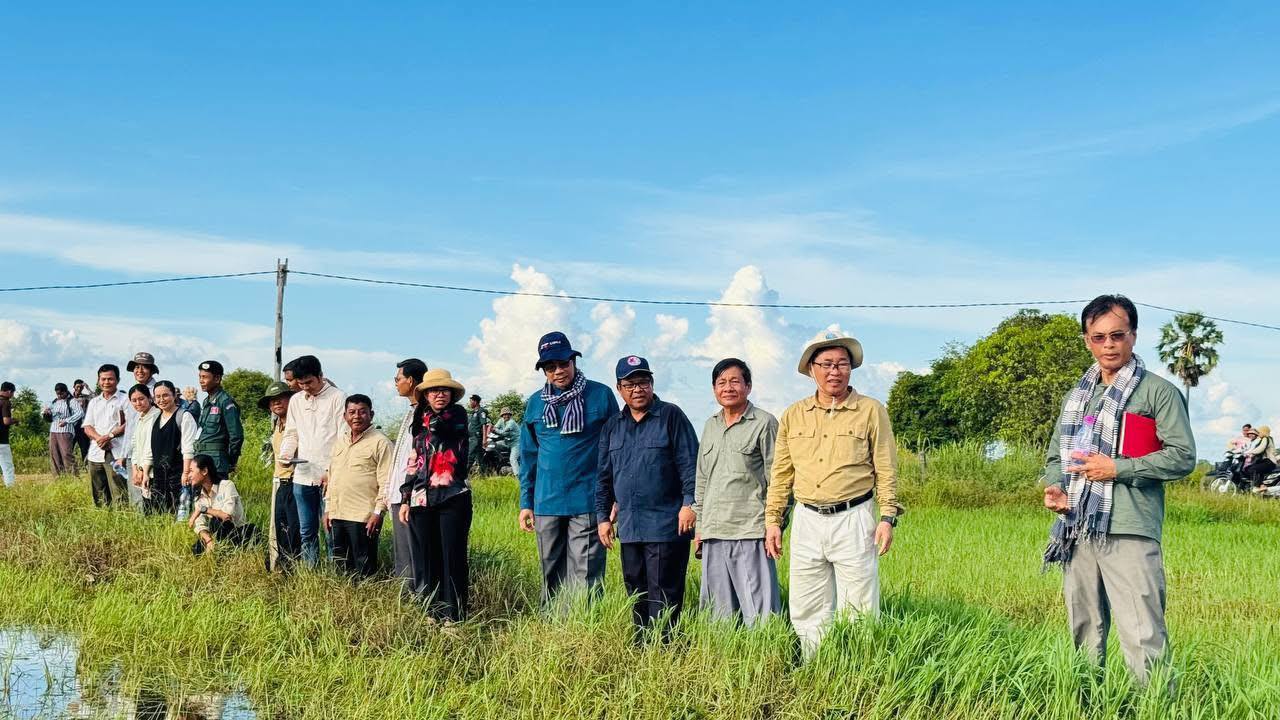 Farmers in Kracheh Begin Rice Planting After Floodwaters Recede