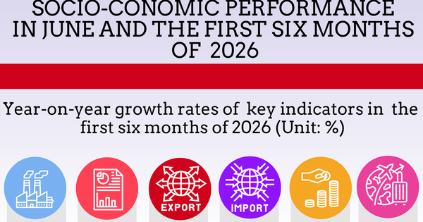 Vietnam's Economy Slows in H1 2026, Social Indicators Remain Robust