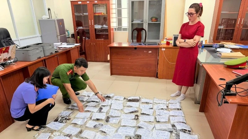 Vietnam Prosecutes Eyewear Store Owner for Intellectual Property Infringement