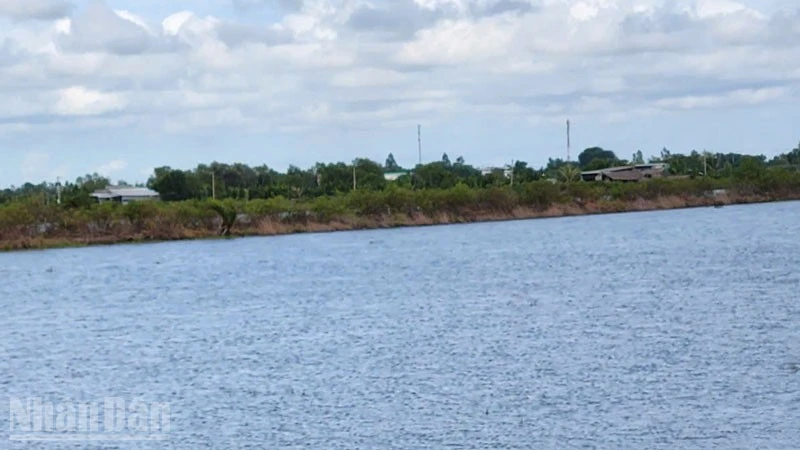 An Giang: Father and Son Die After Being Struck by Lightning While Fishing