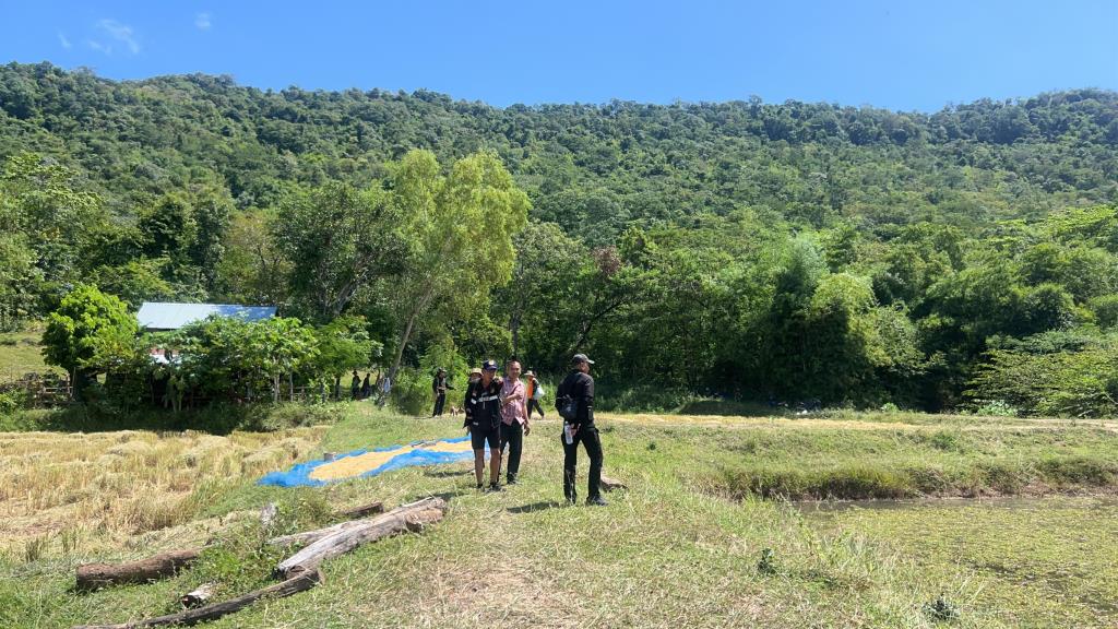 タイ・カラシン県で7歳児が田んぼから行方不明、大規模捜索続く