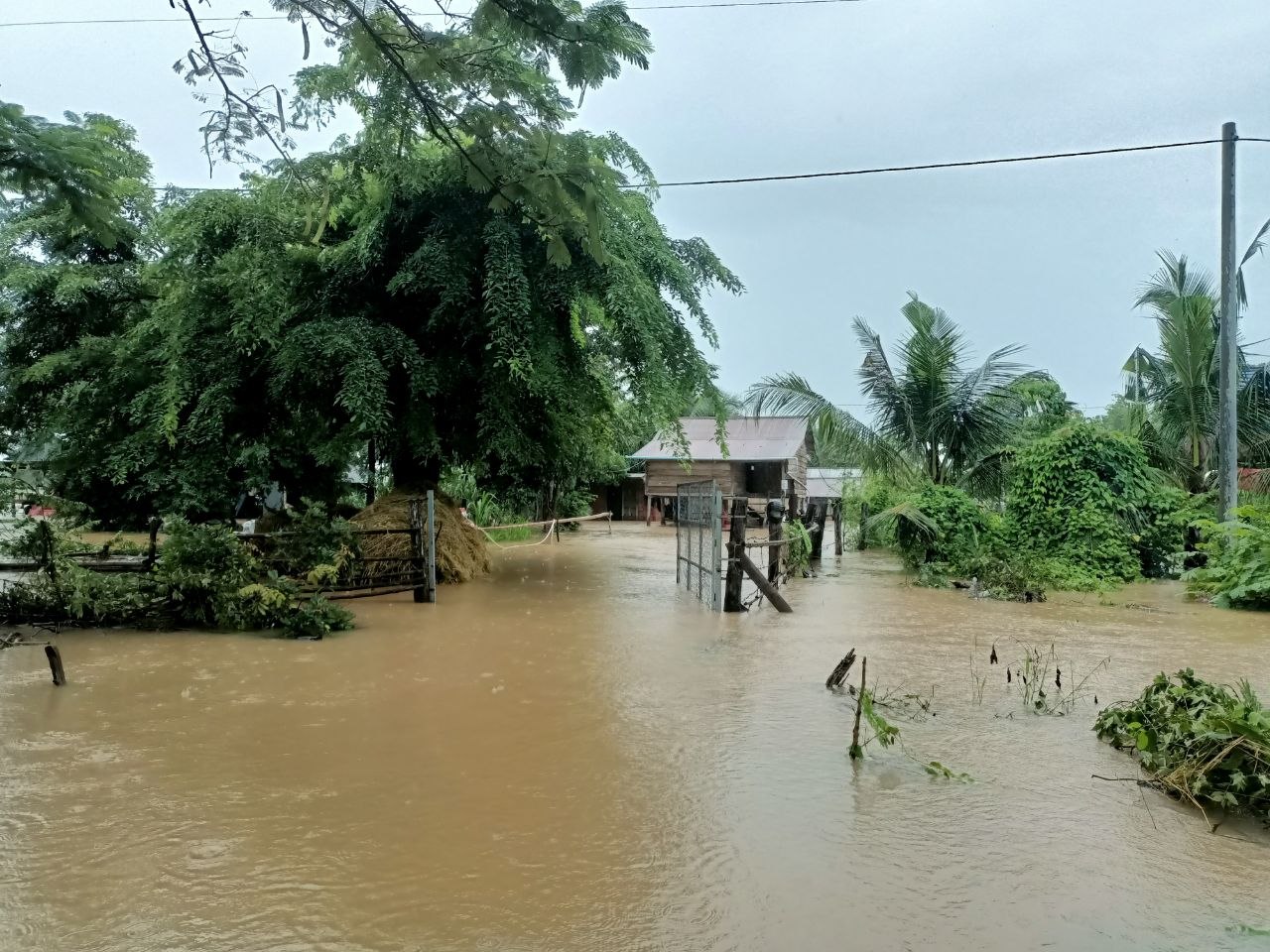 Heavy Rains Cause Flooding in Battambang, Damaging Roads and Homes