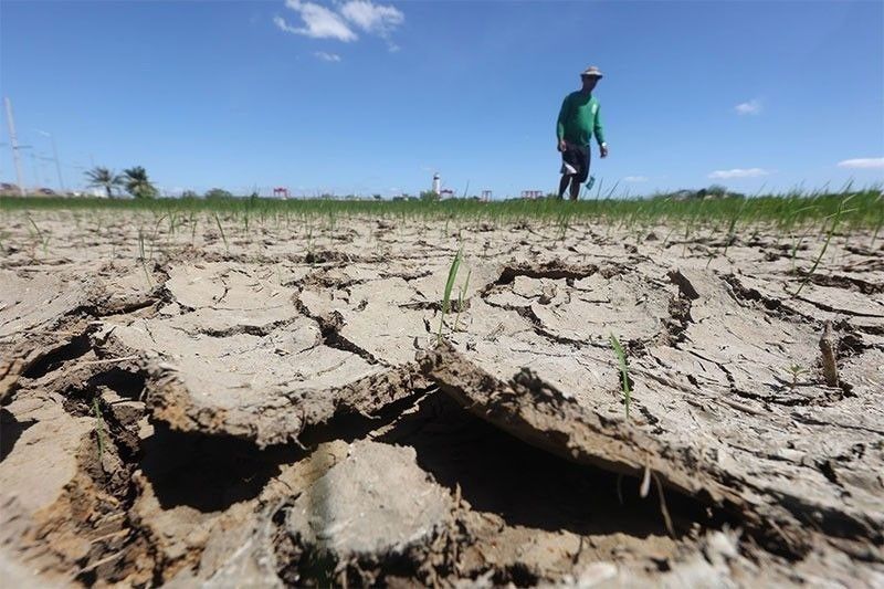 Quezon LGUs Declare State of Calamity Due to El Niño