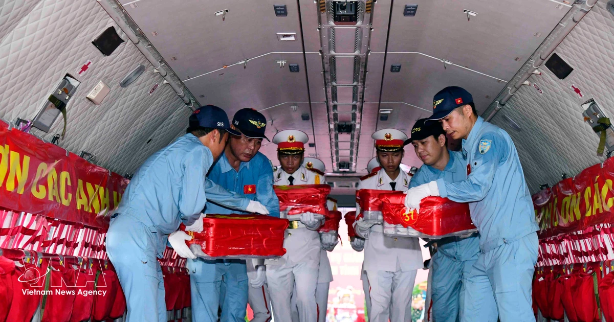 戦没者遺骨7000柱超、DNA鑑定のためハノイへ空輸