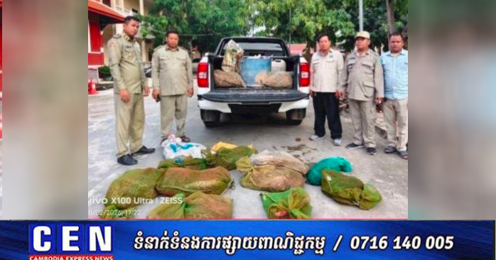 Cambodia Seizes Over 200kg of Protected Pythons; Suspect Allegedly Taken by Conservation Group Official