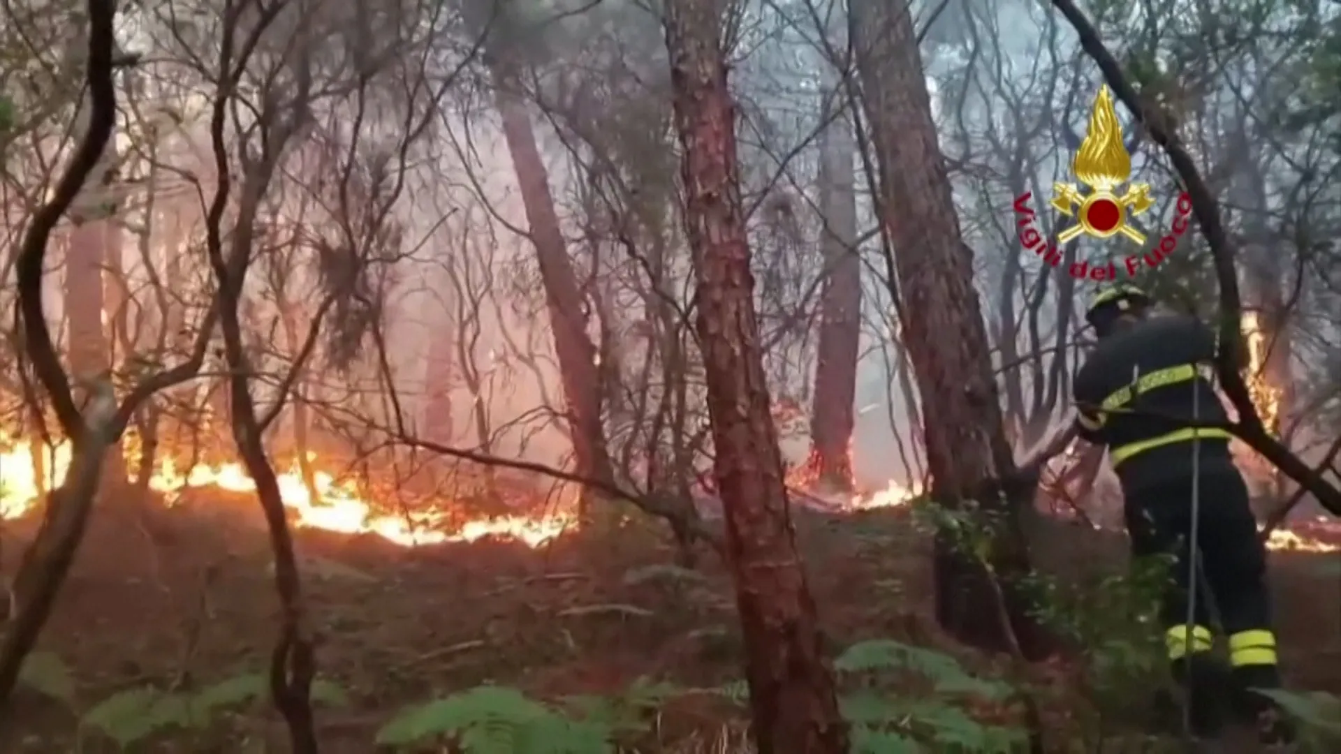 Massive Wildfire Rages in Central Kalimantan, Indonesia: 810 Hectares Burned, 3,500 Evacuated