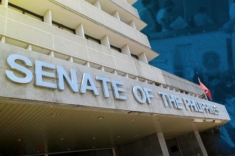 Senate to objectively assess OVP budget despite political tensions