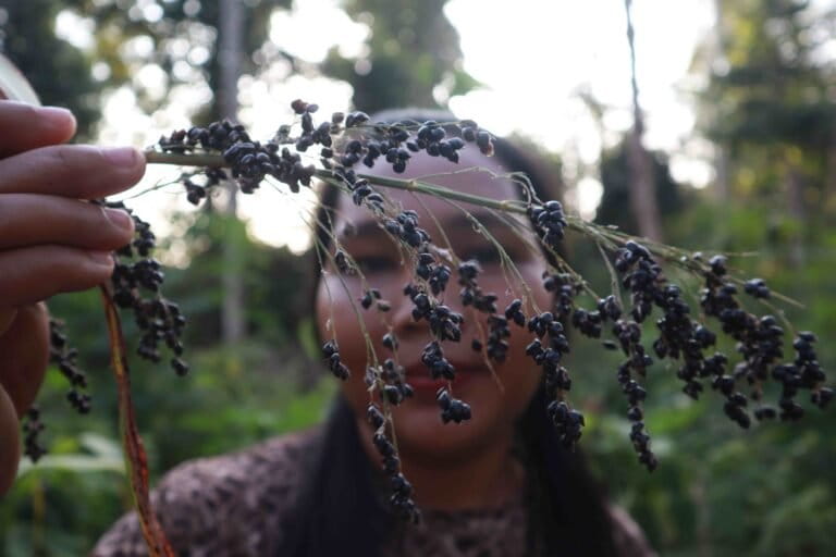 Women of the Jungle: Batin Sembilan Preserve Forests and Traditional Medicine