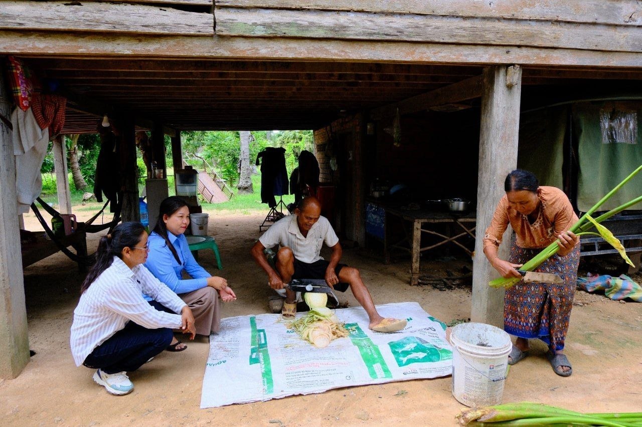Cambodian Rural Farmers Boost Income and Family Livelihoods Through Pig Rearing
