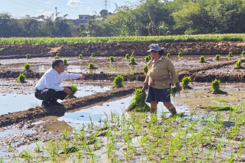 Agri Minister Amran Named 'Best Performer' After Two Years in Office