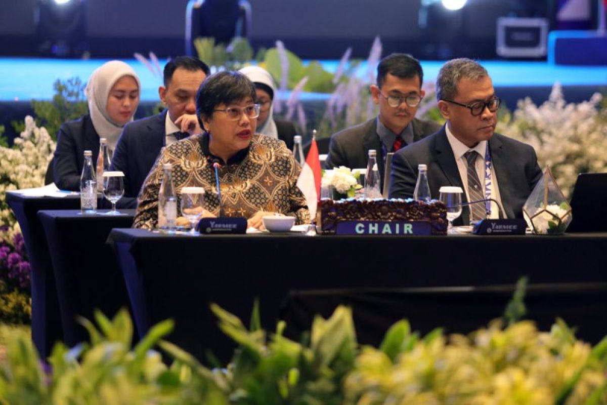 Indonesia Urges ASEAN Towards Long-Term Disaster Resilience