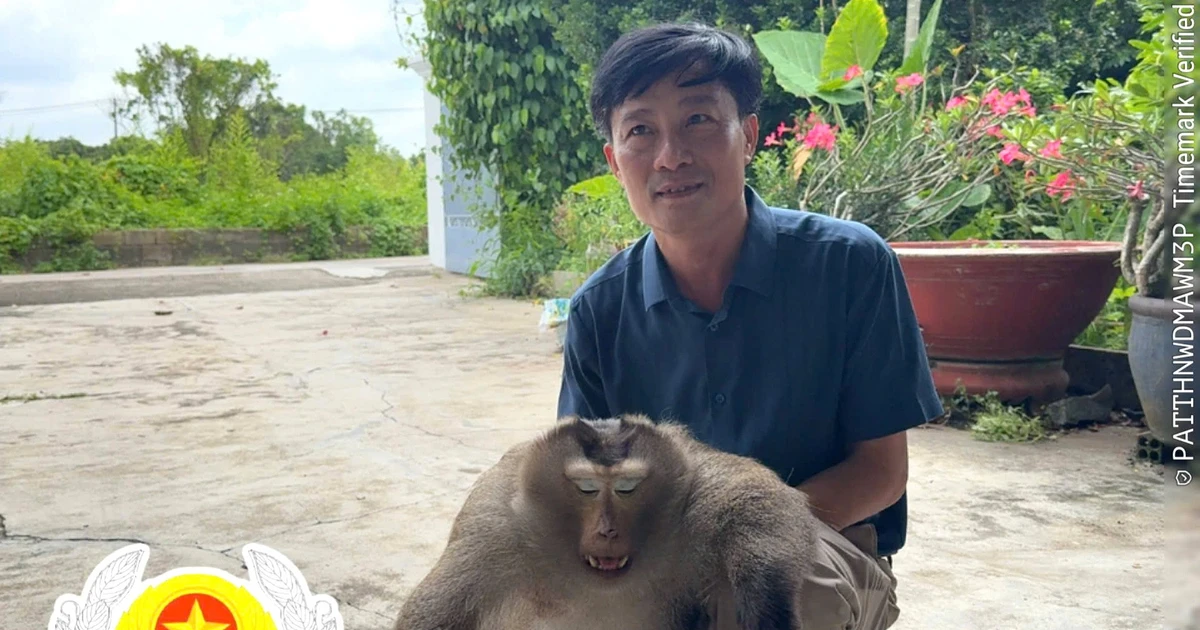 Dong Nai Authorities Capture 3 Wild Monkeys Attacking Residential Areas