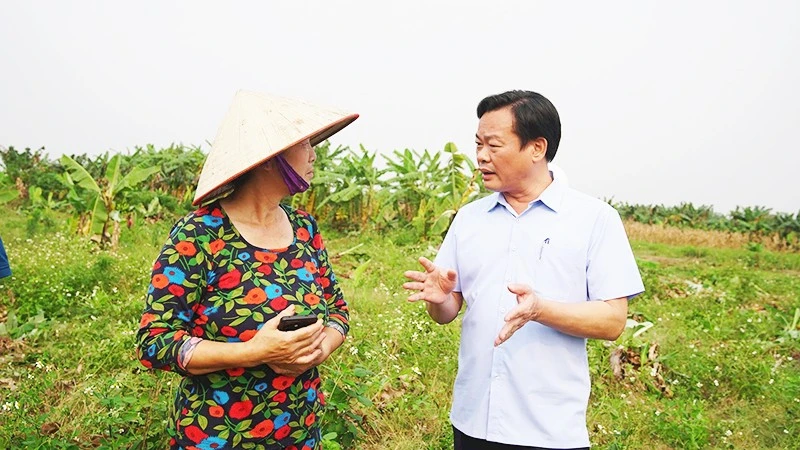 Vietnam's Special Cities: Achievements and Challenges in Administrative Reform