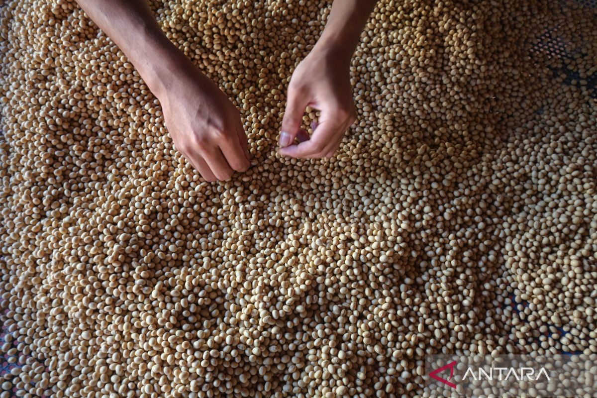 Indonesia Boosts Industry Ties with Research Funding