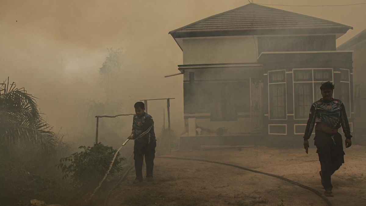 Kalimantan Forest Fires Hampered by Difficult Access and Water Shortages