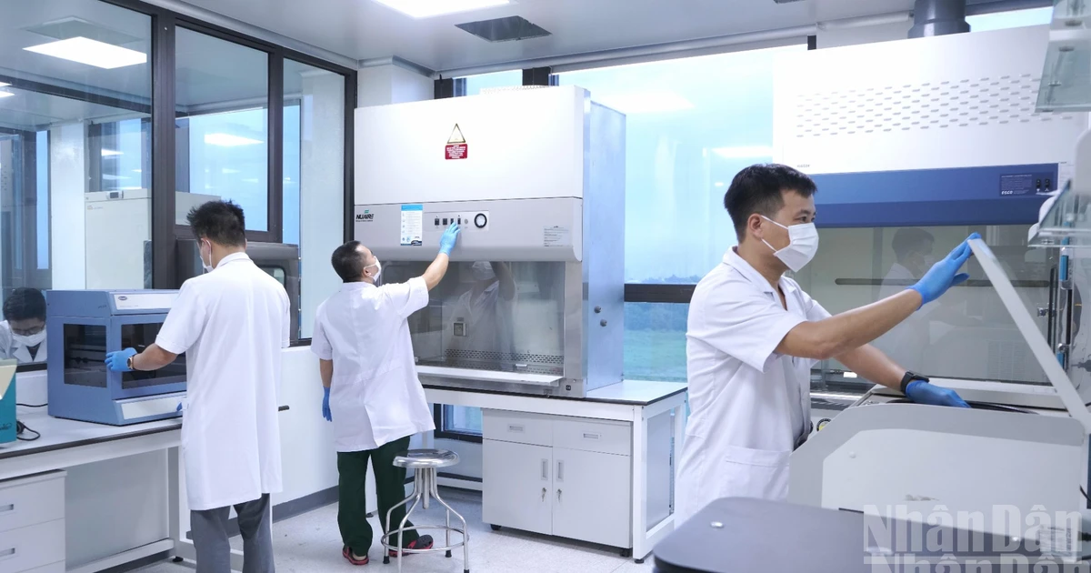 Vietnam Military Enhances Information Gathering and Tech Use for Fallen Soldiers' Remains Collection