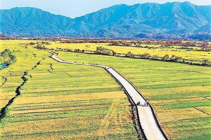 Philippines' Agricultural Trade Deficit Narrows on Export Surge